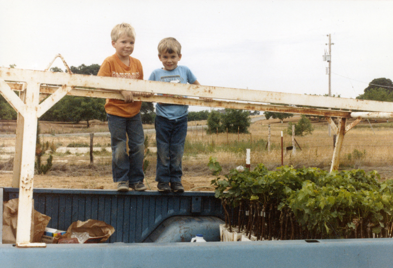 Suzy and Jim Gullett's sons preparing to plant some grapes in 1987