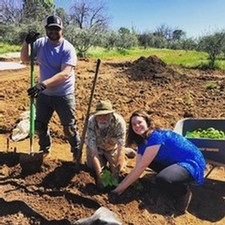 Planting in the New Plot