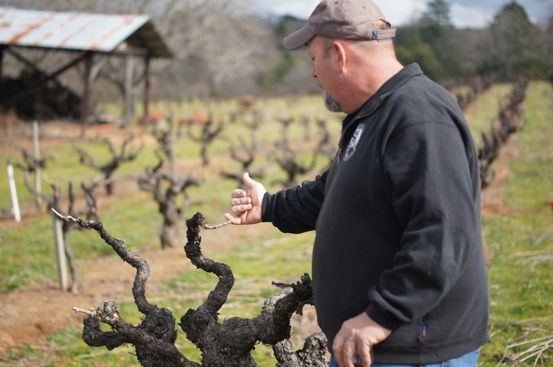 Vineyard and Winery Tours in Plymouth, Ca