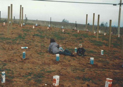 Suzy planting the vineyard with help from her sons, Bobby and Randy. Suzy was pregnant with Lindy in this photo!