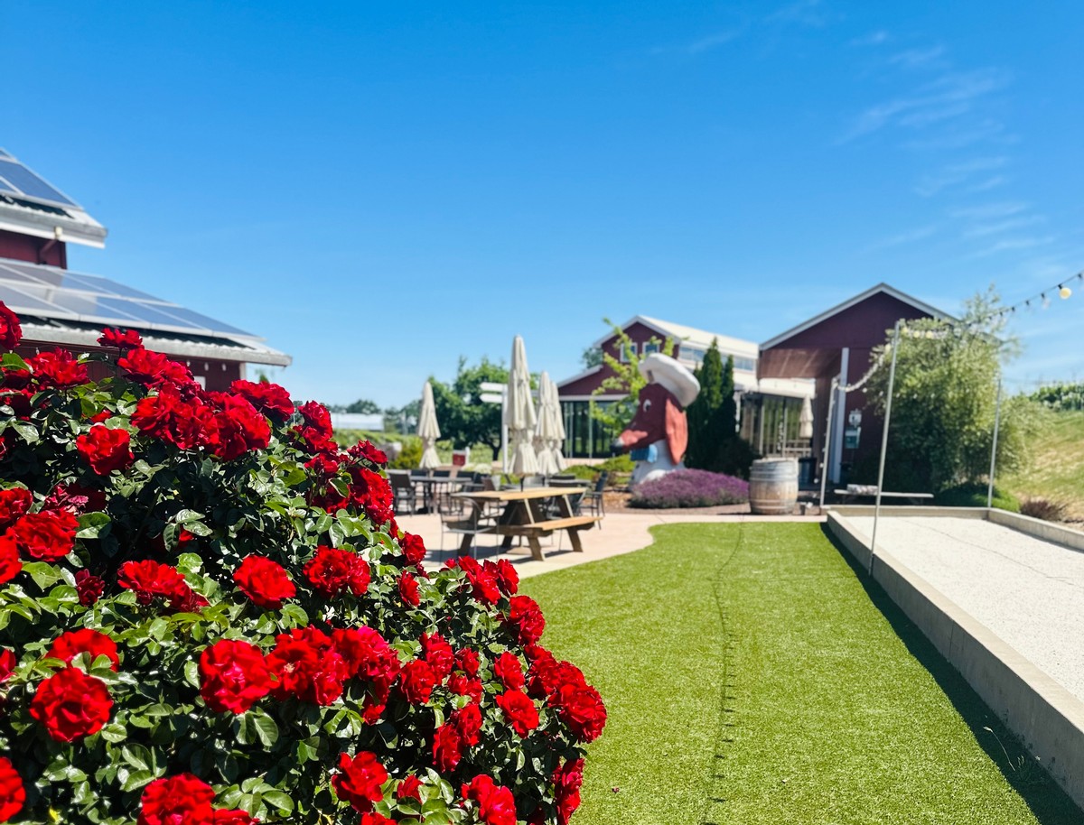 Tasting Room in Plymouth's Shenandoah Valley