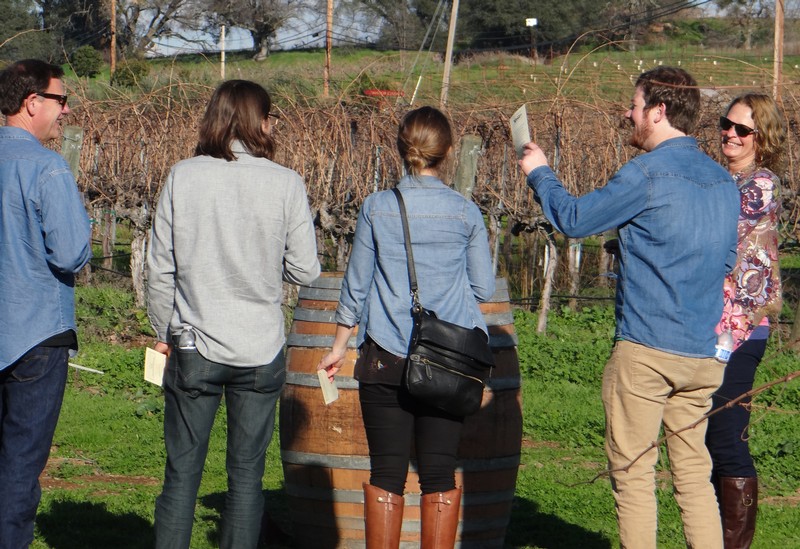 Farm to Glass Wine Tour at Vino Noceto