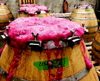 Bungs in Wine Barrels!