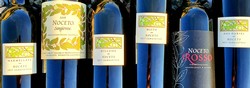 90+ points Sangiovese Sampler