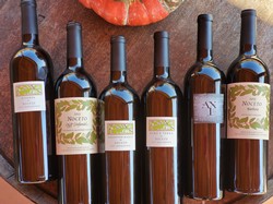 Fall Premium 12-pack