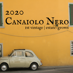 2020 Canaiolo Nero