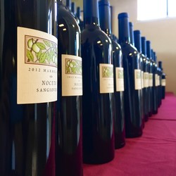Club Food & Wine Pairing (1:45pm)