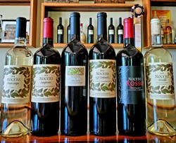 Tasting Room Sampler CLUB