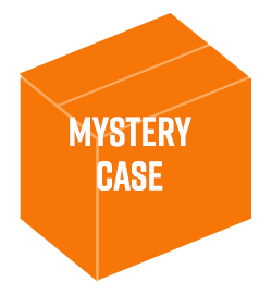 Mystery Case Image