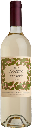 2019 Pinot Grigio
