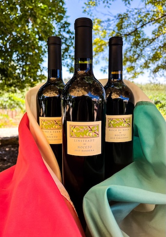 Variety of Italian Wines: Barbera Aglianico Sagrantino