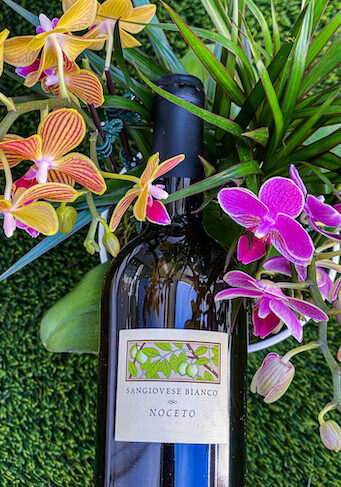 2025 Noceto Sangiovese Bianco