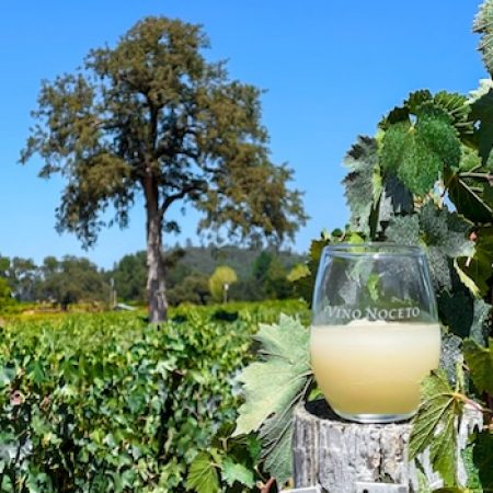 Moscato Wine Slushy in Vineyard